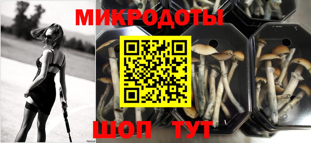 Галлюциногенные грибы мухоморы  Вход с VPN  Семёнов  Галлюциногенные грибы Psilocybine cubensis 