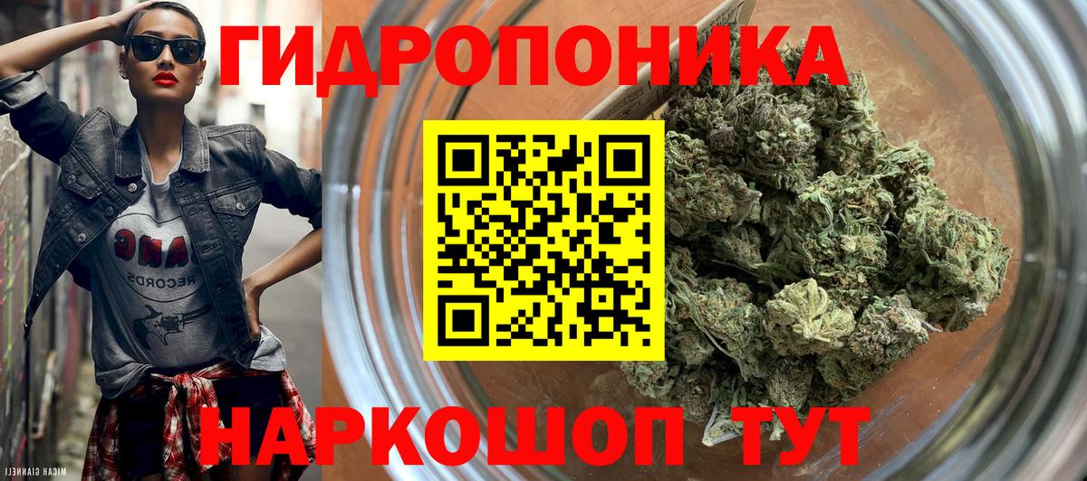 Конопля Ganja  Канабис план  Каннабис White Widow  Вход с VPN  Семёнов  МАРИХУАНА марихуана 